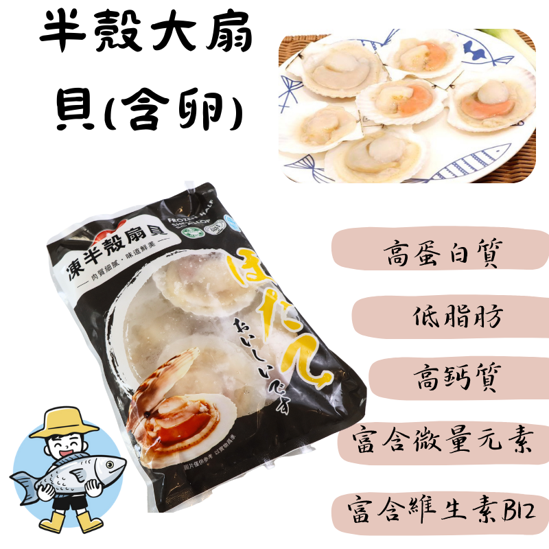 🍥漁小弟水產生鮮🍥半殼大扇貝(含卵) 冷凍 烤肉推薦