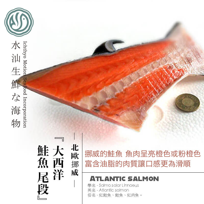 【水汕海物】北歐挪威 大西洋鮭魚 尾段分切處理。『實體店面、品質保證』
