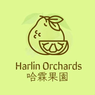 哈霖果園-麻豆文旦 精選級 文旦禮盒