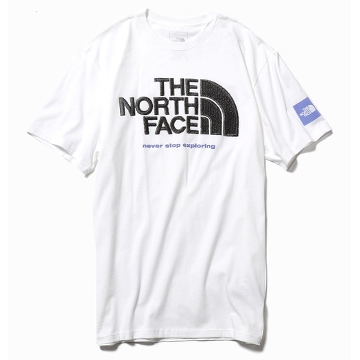 🔥【NTD】稀少美國限定正品 The North Face 北臉 Box紫標 正面大Logo 立體發泡字體 短袖 短T