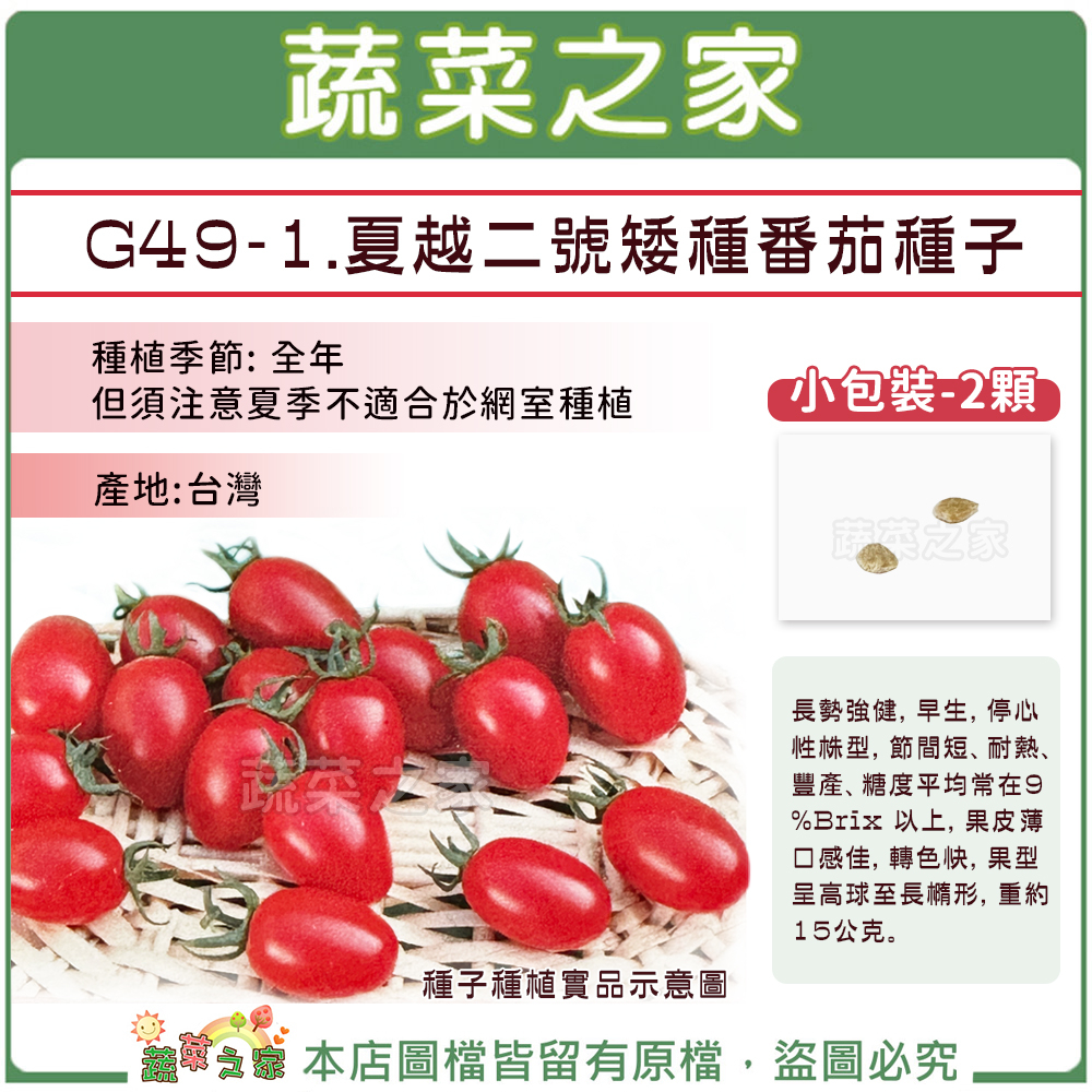 【蔬菜之家滿額免運】 G49-1.夏越二號矮種番茄種子2顆//耐熱、 豐產，果皮薄，口感佳，轉色快果菜類種子