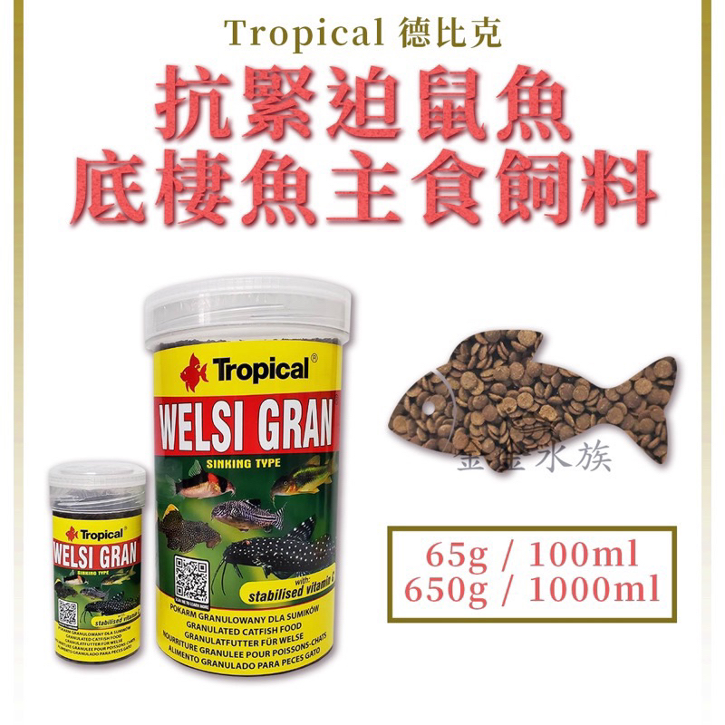 Tropical德比克 抗緊迫鼠魚.底棲魚飼料