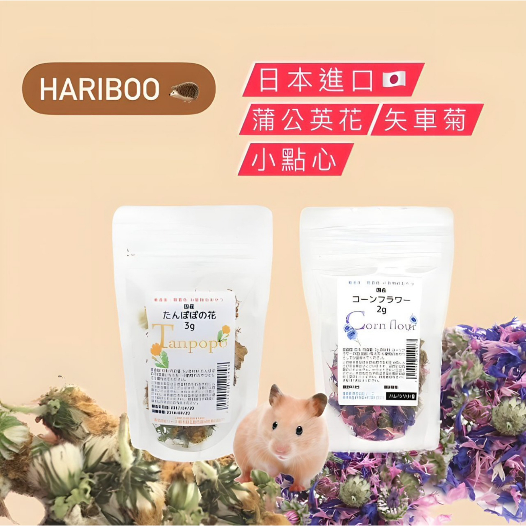 [Hariboo] 現貨 日本 Leaf Corp 蒲公英花 矢車菊 乾燥花🌼 乾燥蔬菜 兔子 天竺鼠 倉鼠 龍貓