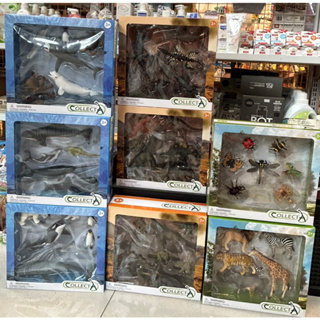 全新現貨特賣售完為止大盒組 英國 collectA 高擬真模型 恐龍野生動物 海洋生物 海洋動物 農場動物 昆蟲全系列