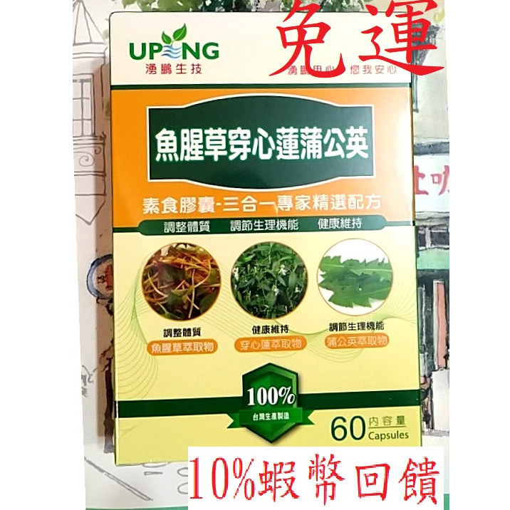 【湧鵬生技】 魚腥草 穿心蓮 蒲公英 素食膠囊  60顆/盒