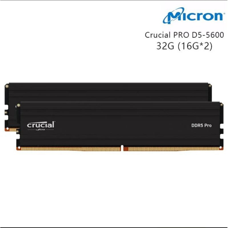 MICRON 美光 Crucial PRO DDR5 5600 32G (16G*2)  CP2K16G56C46U5