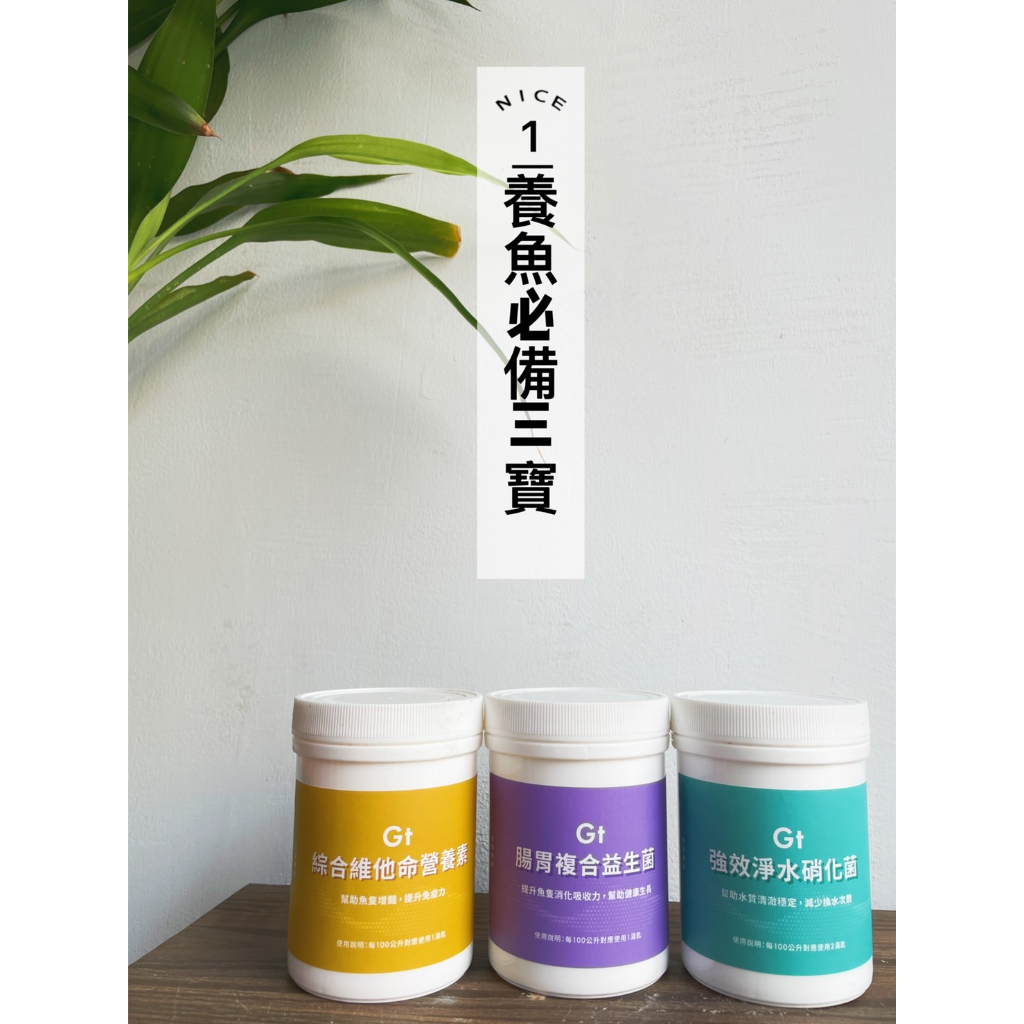 ⭐️魚寶妹水族⭐️《免運優惠 買2送1》 GT養魚三寶 強效淨水硝化菌 綜合維他命營養素 腸胃複合益生菌 養魚必備