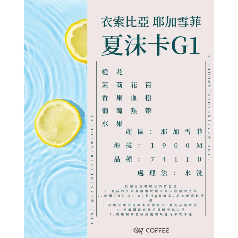 【ＧＷ ＣＯＦＦＥ】免運 精品咖啡 衣索比亞 耶加雪菲 夏末卡 G1 現烘咖啡 超便宜現貨 新鮮烘焙 精品咖啡 咖啡豆