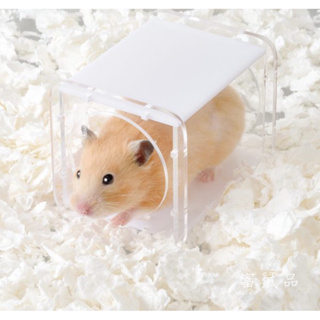 【富鼠品】GEX 愛鼠透視密道 66069 黃金鼠 三線鼠 倉鼠玩具 隧道 鼠籠配件 日本原裝進口 Gex配件