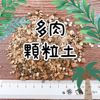 ≡植綠人生≡🌴多肉顆粒土🌴1公升裝│混合介質│多肉植物專用土│顆粒土│顆粒土介質│介質│資材│植物介質│