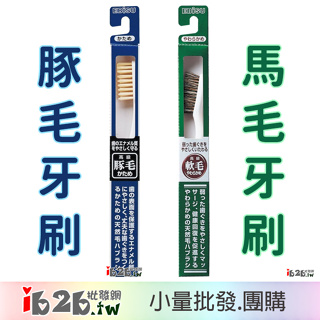 【ib2b】日本製 EBiSU 高級豚毛成人牙刷 / 馬毛+山羊毛軟毛成人牙刷 -6支