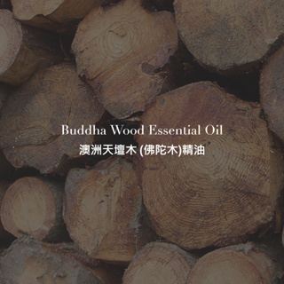 澳洲天壇木 佛陀木精油 Buddha Wood Essential Oil 草本精油 澳洲檀木精油-