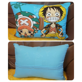 正版 航海王 one piece 海賊王 休憩枕 兒童枕 枕頭 中型枕 幼童枕 可拆洗 午安枕 抱枕 臺灣製
