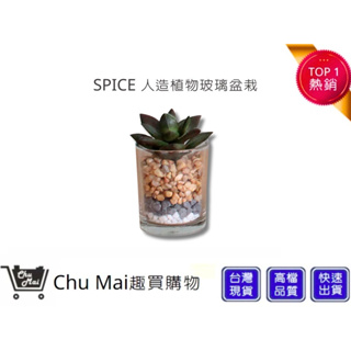 【SPICE】人造綠色植物-玻璃盆栽 多肉人造植物 免打理綠植 多肉擺飾 辦公室植栽 懶人 假盆栽｜趣買購物