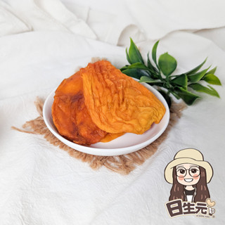 愛文芒果乾 100g 批發【附發票｜日生元】芒果乾 愛文芒果 臺灣芒果乾 無糖芒果乾