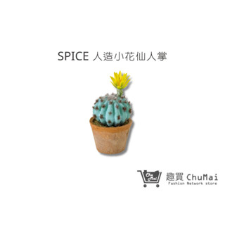 【SPICE】人造小花仙人掌 人造多肉植物 多肉擺飾 辦公室植栽 懶人綠植 居家裝飾 假盆栽｜趣買購物旅遊生活館