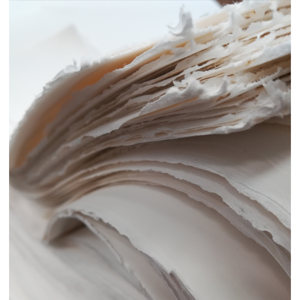 藝城美術►英國 山度士 水彩紙 SAUNDERS WATERFORD 300g 粗目 56*76cm 對開10入/包
