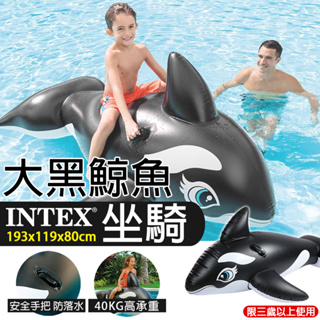 【免運 坐騎泳圈】INTEX 鯨魚坐騎 浮排 充氣坐騎 游泳池 泳池 泳圈 坐騎 D0402007
