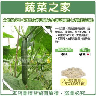 【蔬菜之家滿額免運】大包裝G20-1.冠軍小黃瓜(123小胡瓜)種子F1果色濃綠有光澤 結果率高 產量高 果長約21公分