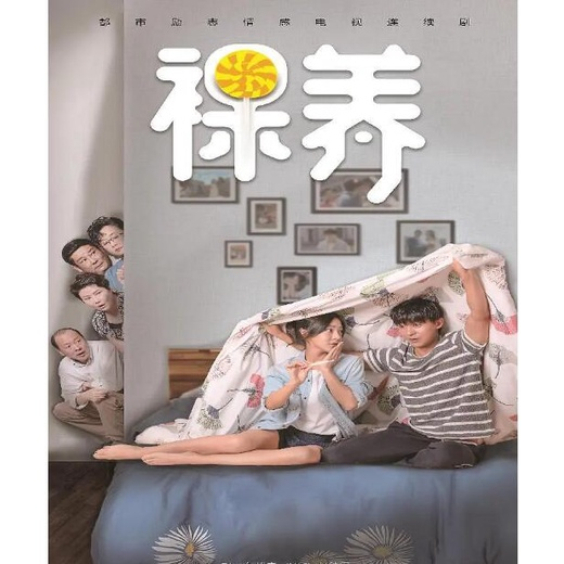 2022大陸劇 匆匆的青春裸養 DVD【李佳航 鄧家佳】【高清 全新盒裝】8片