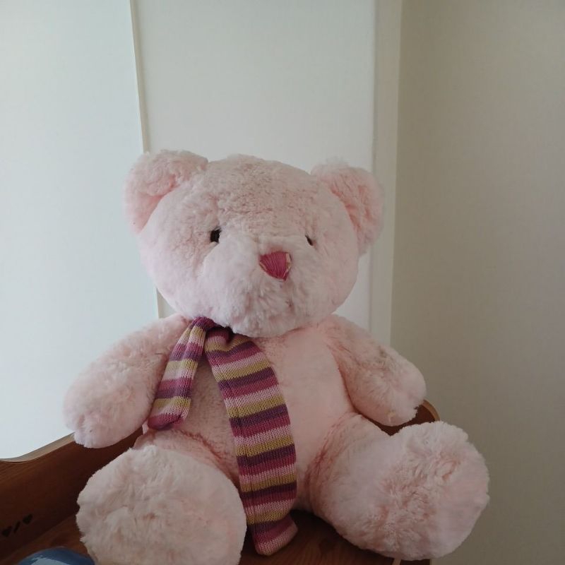 粉色熊寶寶 泰迪熊 熊娃娃 大隻熊娃娃 🎀