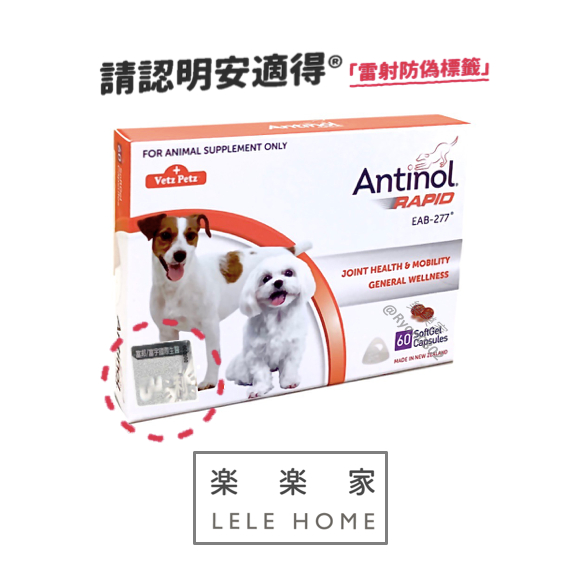 【 火箭發貨｜速達 】 Antinol®安適得酷版 骨關節保健-犬貓適用 原廠雷射防偽序號標籤 原廠保障 樂樂家