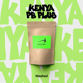DANCING BEAN 舞豆咖啡｜『淺烘焙・水洗法』 肯亞 圓豆 Kenya PB PLUS / 咖啡豆 / 手沖