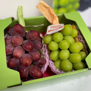 日本麝香葡萄+長野妃紅提葡萄禮盒 【真食材本舖・RealShop｜水果】水果禮盒