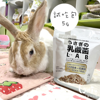 魏啥麻-日本WOOLY 兔子的乳酸菌LAB研究所(4種乳酸菌 腸道) 試吃 5g (保健品)