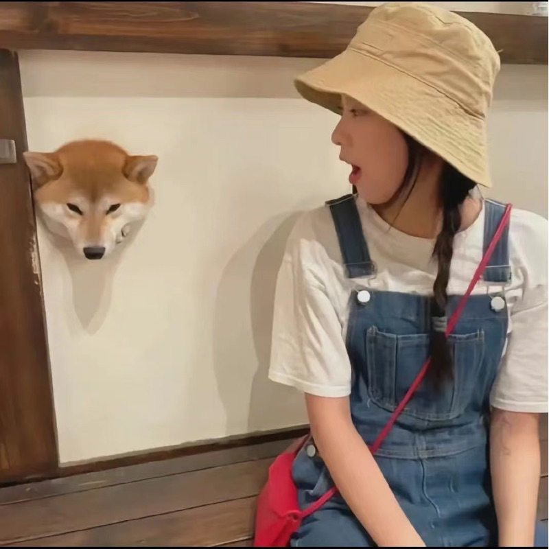 貝在台的時尚百搭衣裝