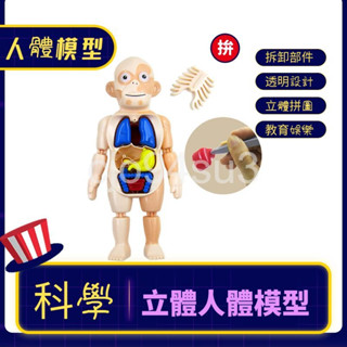 人體模型 立體拼圖 科學教具 人體奧妙 模型玩具 認識身體
