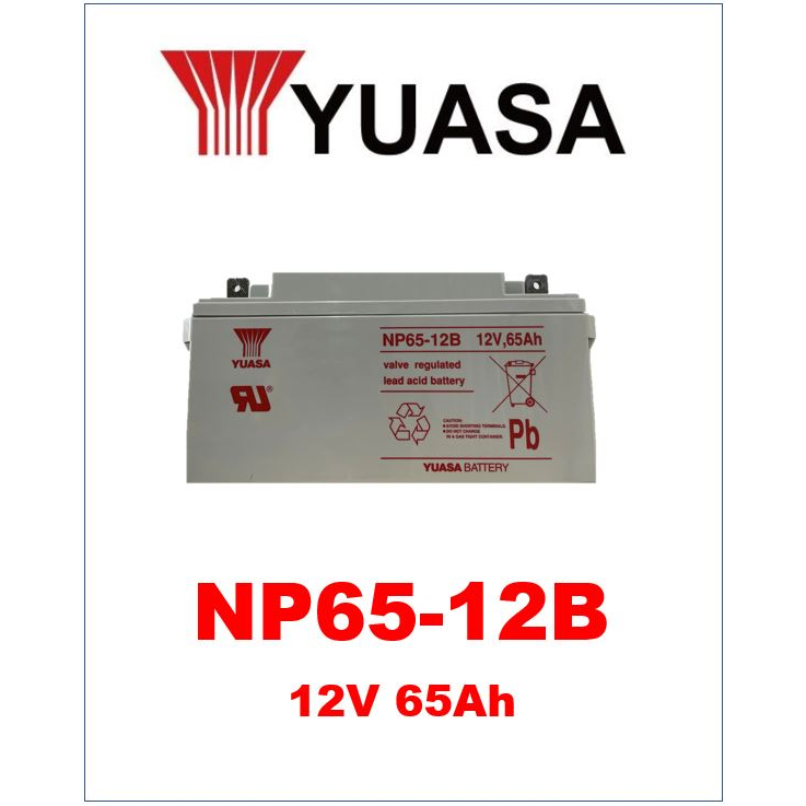 YUASA 湯淺 全新 NP65-12B 12V 65Ah 綠能儲電 露營 太陽能蓄電 戶外照明 深循環 攤販用電