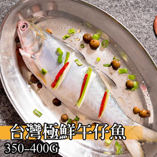 【鮮綠生活】臺灣極鮮午仔魚350g-400g