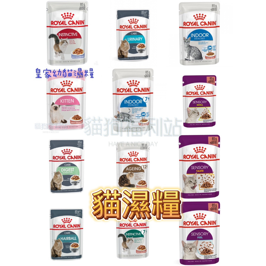 法國皇家 ROYAL CANIN 貓濕糧 貓飼料  成貓/幼貓/離乳貓/母貓 K36W BC34W F32W