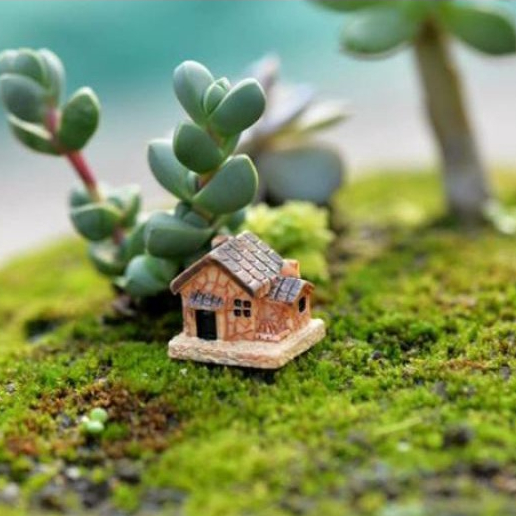 【☘️小屋】多款 迷你 小房子 小樹 樹屋 微景觀 花盆 擺飾 多肉 園藝 裝飾 拍攝道具
