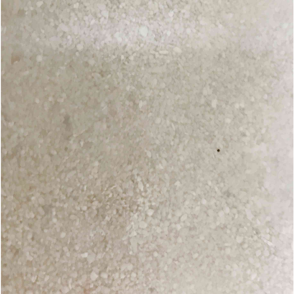 【用多少買多少】珊瑚骨 珊瑚石 珊瑚砂 0號珊瑚骨 進口珊瑚骨 珊瑚骨  珊瑚沙
