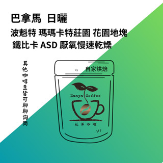 花芽咖啡huayacoffee//咖啡豆 巴拿馬 波魁特 瑪瑪卡特莊園 花園地塊 鐵比卡 ASD 厭氧慢速乾燥 日曬處理
