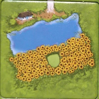 (桌遊) Carcassonne: Ukraine Promo Tile 卡卡頌: 烏克蘭 促銷板塊