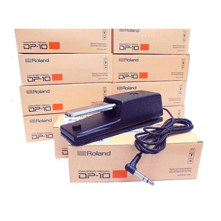 全新公司貨 Roland DP10 DP-10 電子琴踏板 電鋼琴延音踏板 數位鋼琴 適用 延音踏板 支援半踩踏