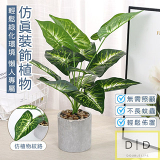 【臺灣現貨】模擬盆栽植物擺飾 綠化裝飾 仿真植物 擺飾 居家裝飾 商業裝飾 拍照道具 居家生活 綠化佈置 模擬盆栽