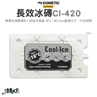 dometic 長效冰磚 ci-420 冰塊 冰寶 保冰劑 冰桶 保冰袋 保冰箱 冰磚 戶外 露營下