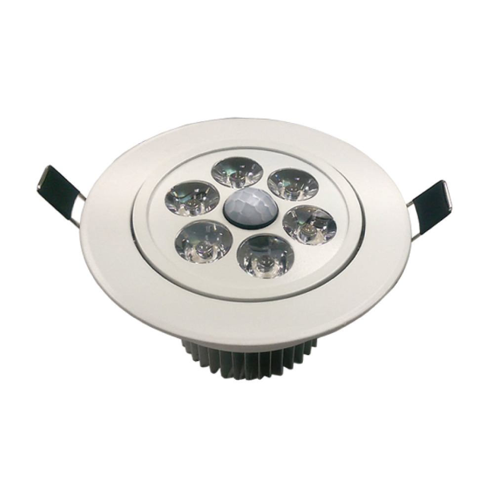 10W LED 感應嵌燈 (白光)