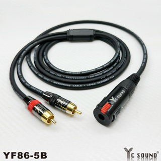 高級 降噪隔離線 Y型線 RCA轉6.3母 AV延長線 音源轉接線 一分二 一轉二