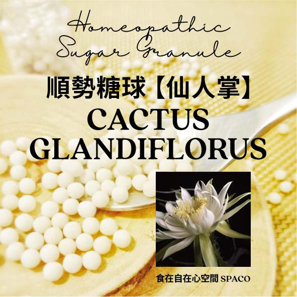 順勢糖球【仙人掌●Cactus Grandiflorus】Homeopathic Granule（悲傷，心輪，收縮不適）