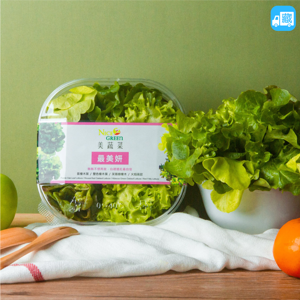 NICE GREEn 美蔬菜盒(最美妍) 1盒 生菜 溫沙拉 萵苣 蔬果汁 水耕蔬菜