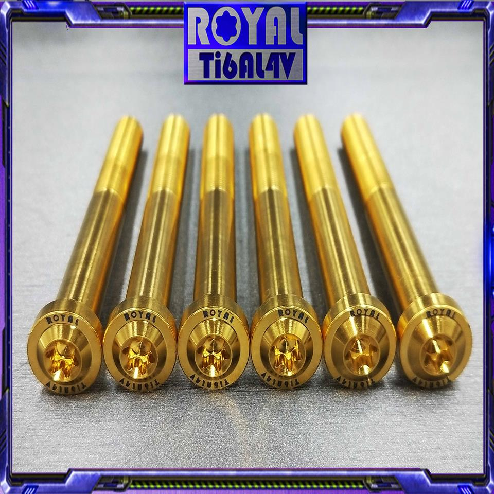 【瘋螺絲】ROYAL鈦合金螺絲★M12*120F P1.25 TL500 避震器上座 64正鈦螺絲★CNC鍛造★土豪金