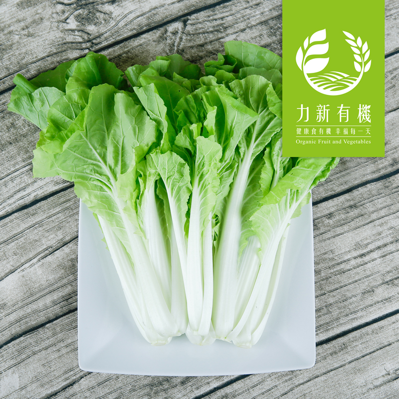 力新有機 有機荷葉白菜 250g/包 安心無毒食材 產地鮮採 當季蔬菜 有機驗證 有機小農 青菜