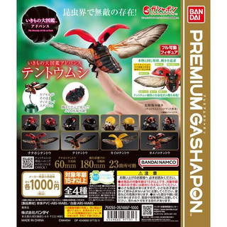 🔥現貨 瓢蟲 昆蟲 生物大圖鑑 Ultimate 模型 扭蛋 公仔