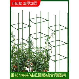 花架爬藤架 花盆支架 托架庭院植物包塑鋼管厚葡萄架 爬藤架子花支架