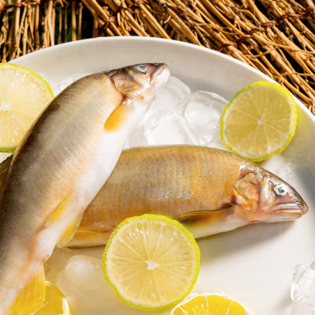 【饕針】帶卵母香魚 6隻 900g  母香魚 豐富魚卵 美食 海鮮